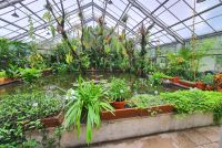 Besuch des Botanischen Gartens in Dresden - Tropenhaus