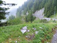 Fahrt mit dem Nostalgiezug auf die Schynige Platte