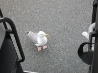 ...oder nehme ich den Nächsten?