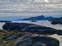 Statles Rorbusenter in Mortsund