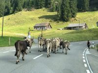 vor dem Bus auf dem Weg zur Schwägalp