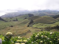 Sao Miguel - Vulkankegel