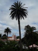 Terceira - Jardim Duque de Terceira