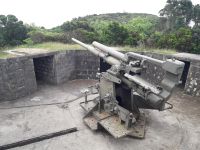 Terceira - Alte Geschütze am Monte Brasil