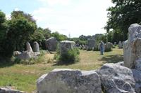 IMG_1036_Steinfeld Erdeven