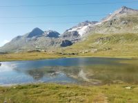 Auf dem Berninapass 