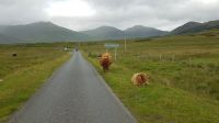 Isle of Mull