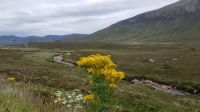 Skye