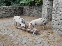 Bunratty Folk Park