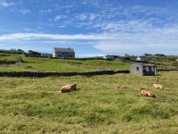 6. Tag – Wanderung auf Inishmore