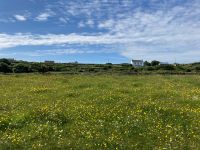 6. Tag – Wanderung auf Inishmore