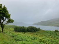 7. Tag – Fotostopp am Killary Harbour