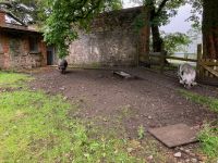 7. Tag – Kylemore Abbey und Garten