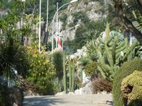 22000-Personen im ersten Jahr entdeckten diesen ausserordentlichen Garten