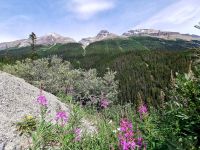 Sirius Mountain view point