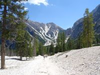 Gestärkt wieder zum See