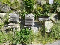 Wegweißer