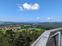 Ausblick vom Baumei