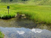 Das Biotop Flemmsee