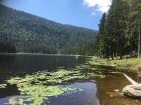 Arbersee