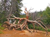 Pyramid Lake, Jasper Nationalpark