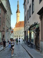 Estland - Tallinn