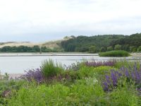 Litauen - Kurische Nehrung