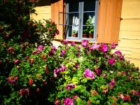 Lettland - Gauja Nationalpark - Turaida