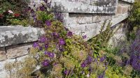 Dunrobin Castle