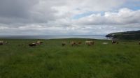 Dunbeath Castle