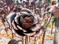 Tag 10 - Impressionen aus Oslo.jpg