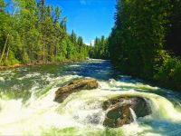 Auf dem Weg zum Helmcken Wasserfall