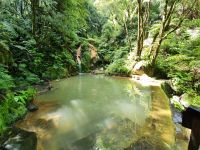 Azoren, Insel Sao Miguel, Caldeira Velha