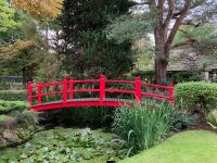 11. Tag – Irisches Nationalgestüt – Japanischer Garten