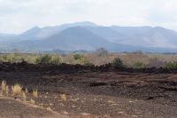 377 Shentani Lava Feld  Tsavo West Nationalpark
