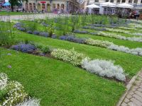 Riga: Livenplatz