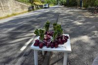 Rote Zwiebeln aus Kalabrien