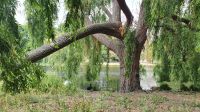 20220731 104104 St. James Park