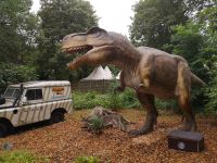 Animation im Dino Park