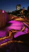 20220803 214833 Superbloom bei Nacht