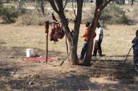 Fleischmarkt am Straßenrand