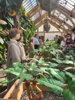 109 – England, London, Harry Potter Studio Tour