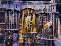 135 – England, London, Harry Potter Studio Tour