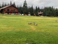 Kanada - Beckers Chalets