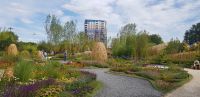 Floriade 2022 - Chinesischer Garten.jpg