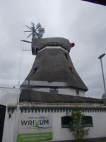 DSCN6266.JPG    Windmühle Föhr -Erdholländer