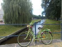 DSCN6326.JPG    