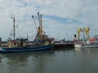 DSCN6409.JPG   Hafen Strucklahnungshörn