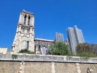 Notre Dame im Wiederaufbau