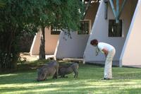 Wohnen die auch hier?